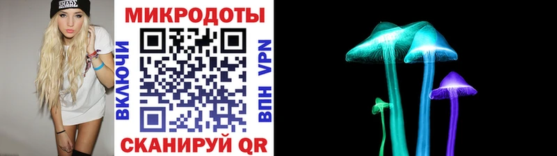 где найти   Берёзовский  Галлюциногенные грибы Cubensis 